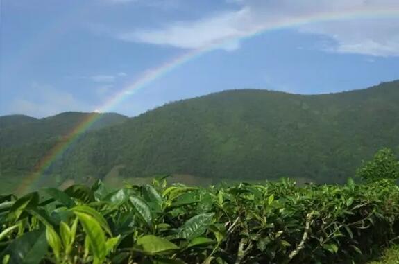 QQ截圖20160428095559 QQ截圖20160428095559