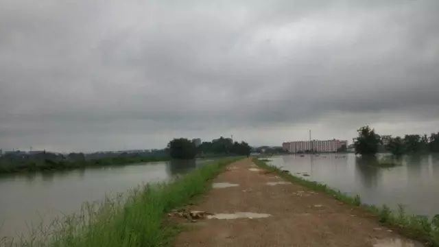 1 1
