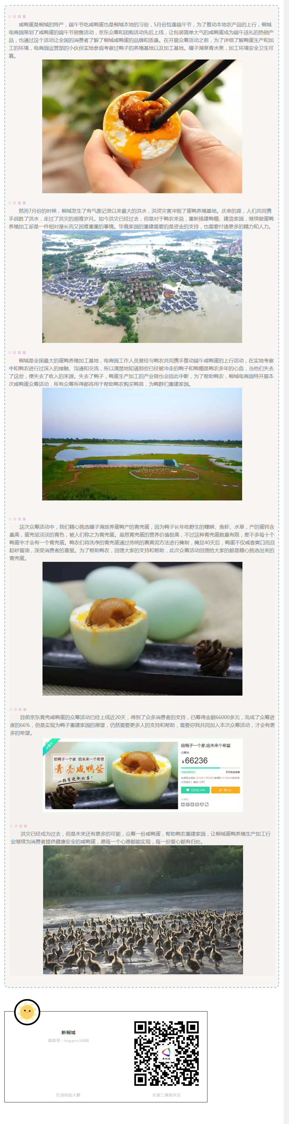 給鴨子一個家，給未來一個希望